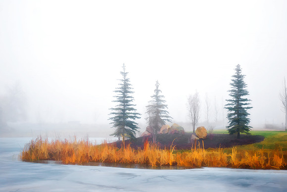 winter-6545