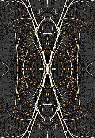 0826 spring wax buds_mirror_line