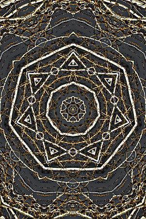 0830 cottonwood_kaleid