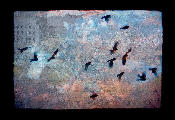 Edit-0980-2