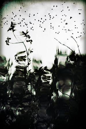 Edit-2336