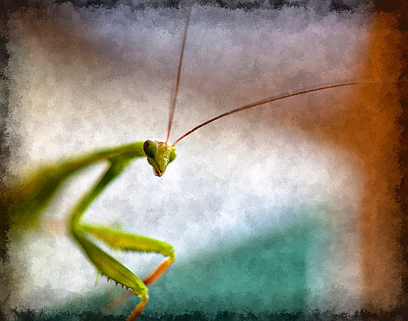 Edit-5353-11x14