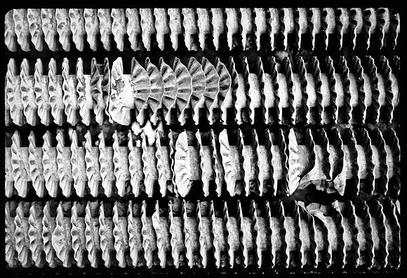 Radiator grill