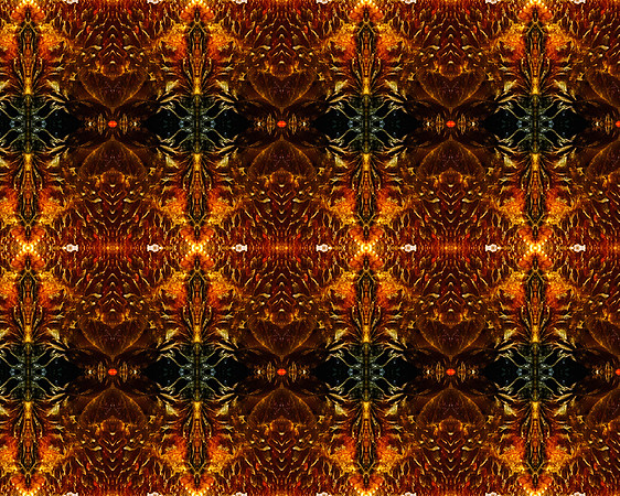 Crab pattern