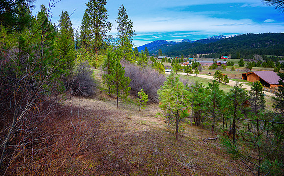 _DSC8196
