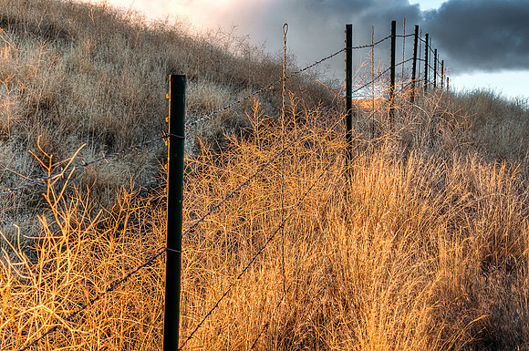 Edit--6664_65_66_67_68_69_70_tonemapped