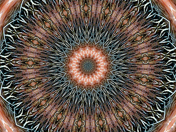Hairy Eyeball