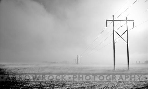 8810 fog field