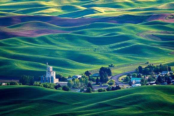 Palouse18-08229