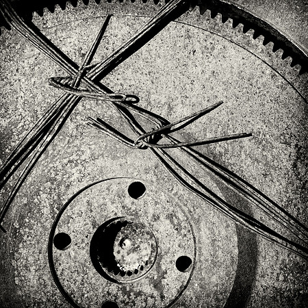 _DCJ2379-Edit