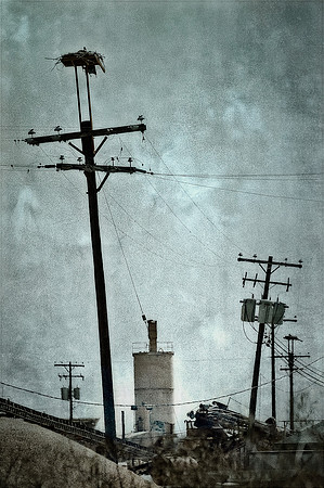 Edit-8184-OO