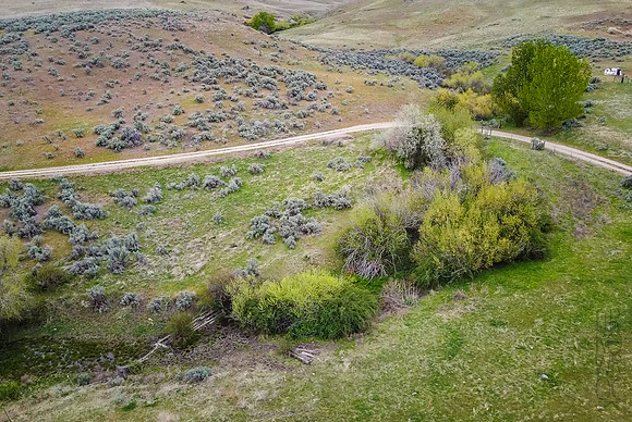 DJI_0217