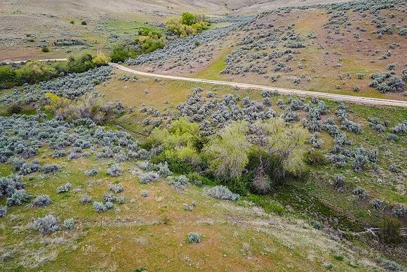 DJI_0218
