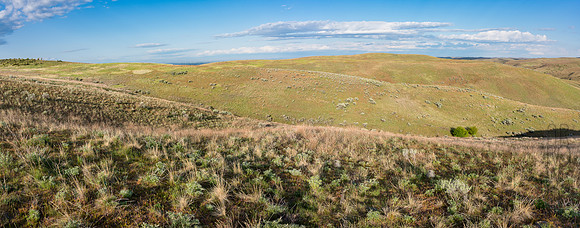 _DJ11269-Pano