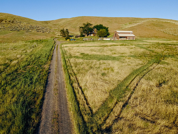 DJI_0539