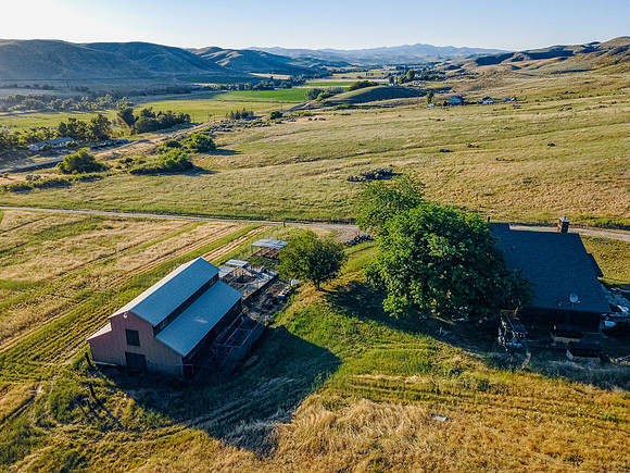 DJI_0549