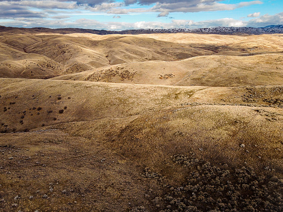 DJI_0753-edit