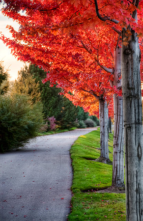 Edit-HDR--5227_28_29_30_31_32_33_tonemapped