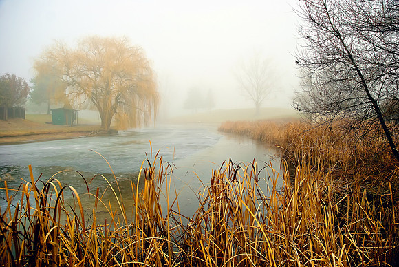 winter-6516