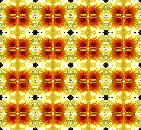 Wild rose pattern