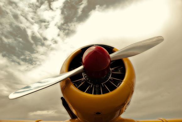 Cherry (T-6)