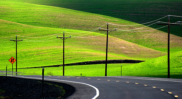 Palouse spring green