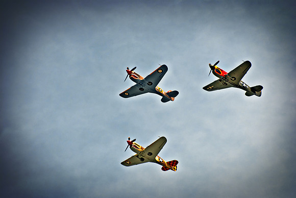 P-40 Trio