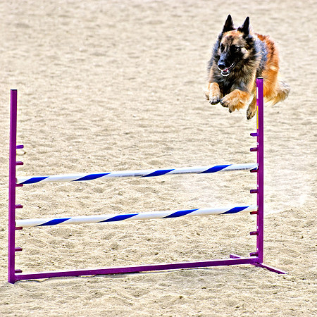 Flying Leap