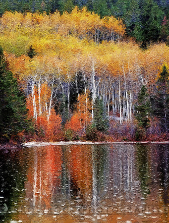 4237 pyramid lake in light rain