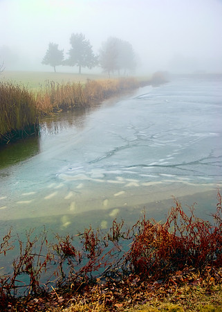 winter-6531