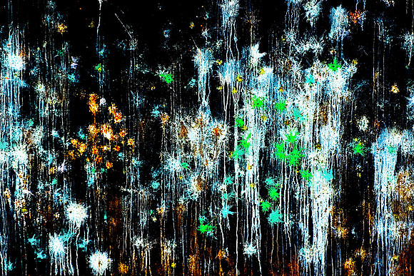 Paintball Canvas