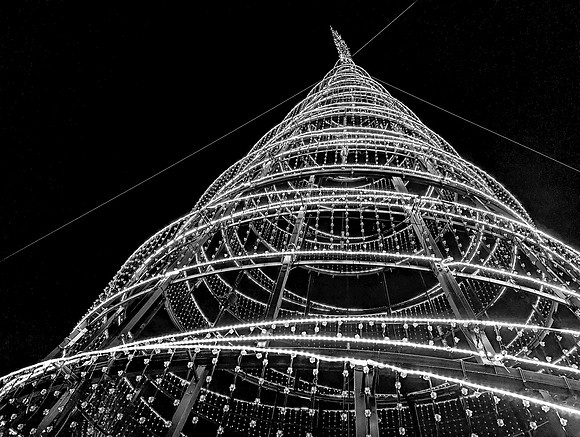 PXL_20231226_005007846