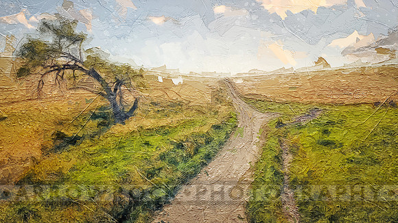 DJI_0688-Palousepaint