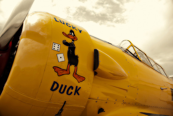 Lucky Duck (T-6)