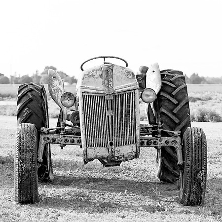 Edit-5160-bw