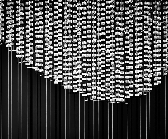 DJ1_6599